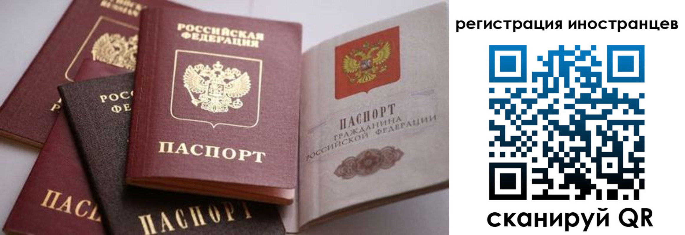 прописка штамп в ЕАО